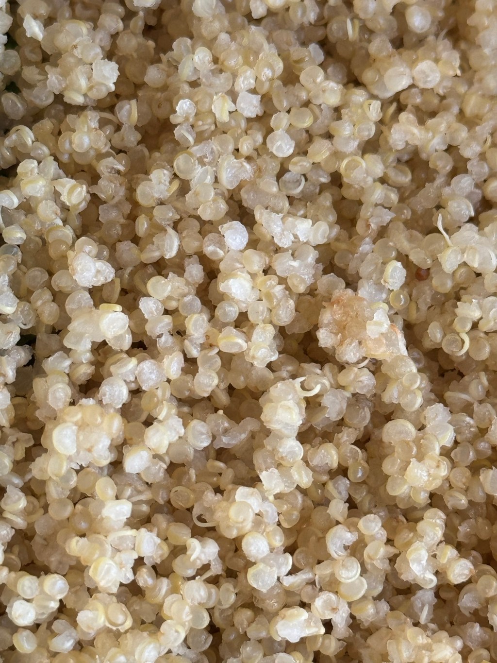 קינואה כמו שצריך